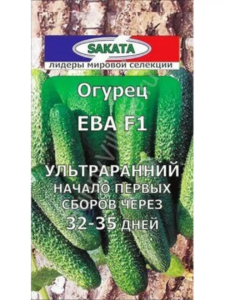 Огурец Ева