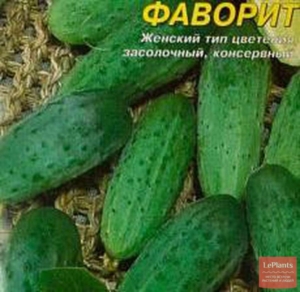 Огурец Фаворит