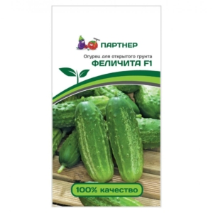 Огурец Феличита