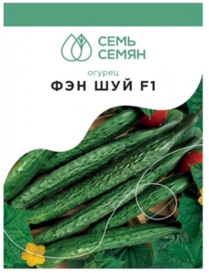 Огурец Фен Шуй
