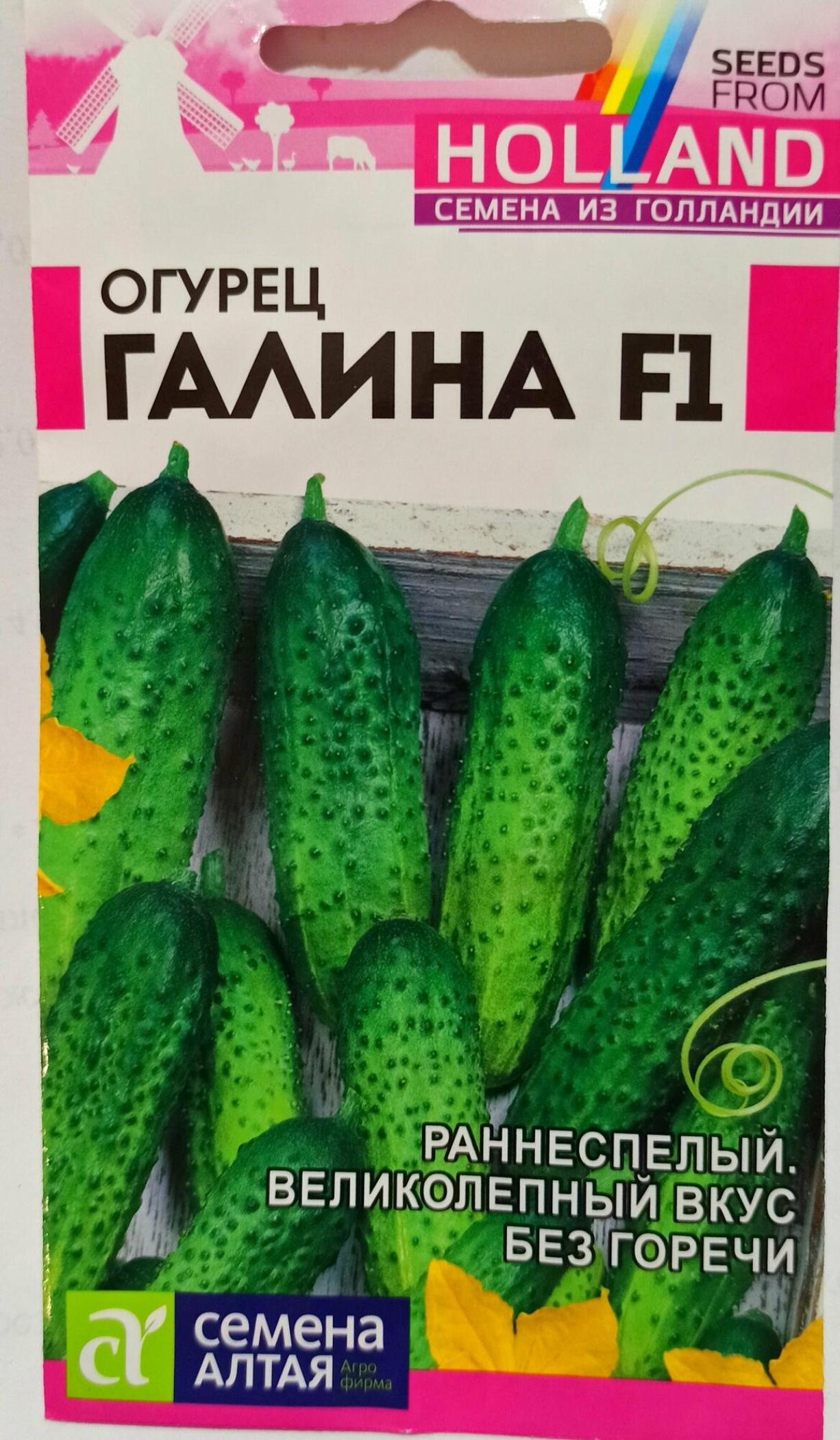 Огурец Галина