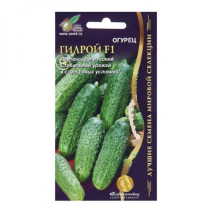 Огурец Гилрой