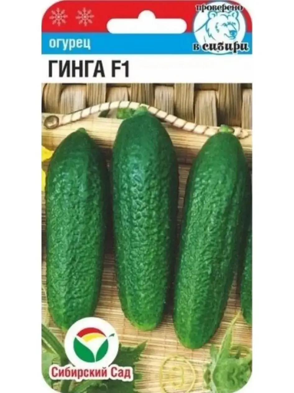 Огурец Гинга
