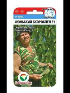 Огурец Июньский скороспел