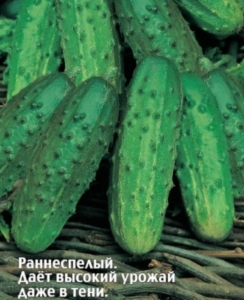 Огурец Каналья