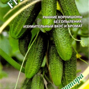 Огурец Капитал