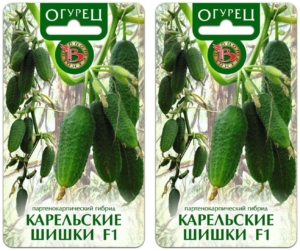 Огурец Карельские шишки