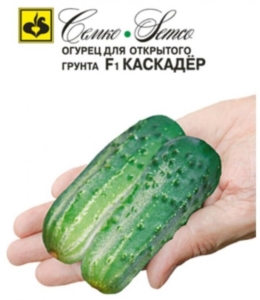 Огурец Каскадер