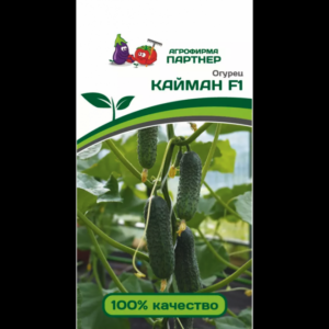Огурец Кайман
