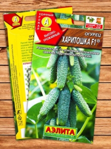 Огурец Харитошка
