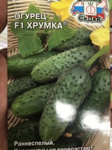 Огурец Хрумка