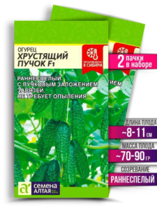 Огурец Хрустящий пучок