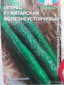 Огурец Китайский болезнеустойчивый