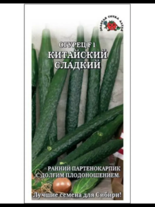 Огурец Китайский сладкий