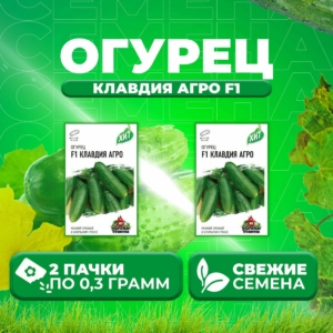 Огурец Клавдия Агро