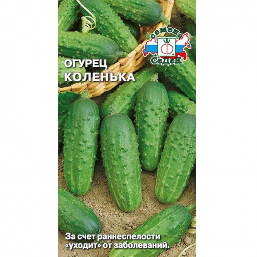 Огурец Коленька 2