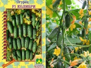 Огурец Колибри