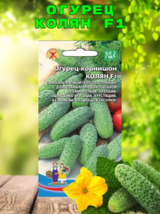 Огурец Колян