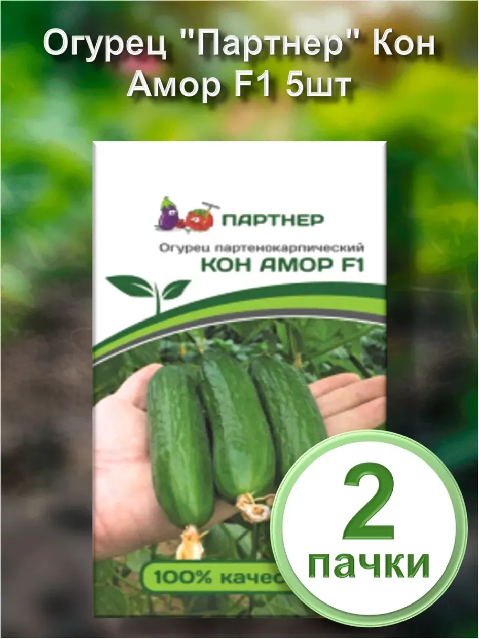 Огурец Кон Амор 2