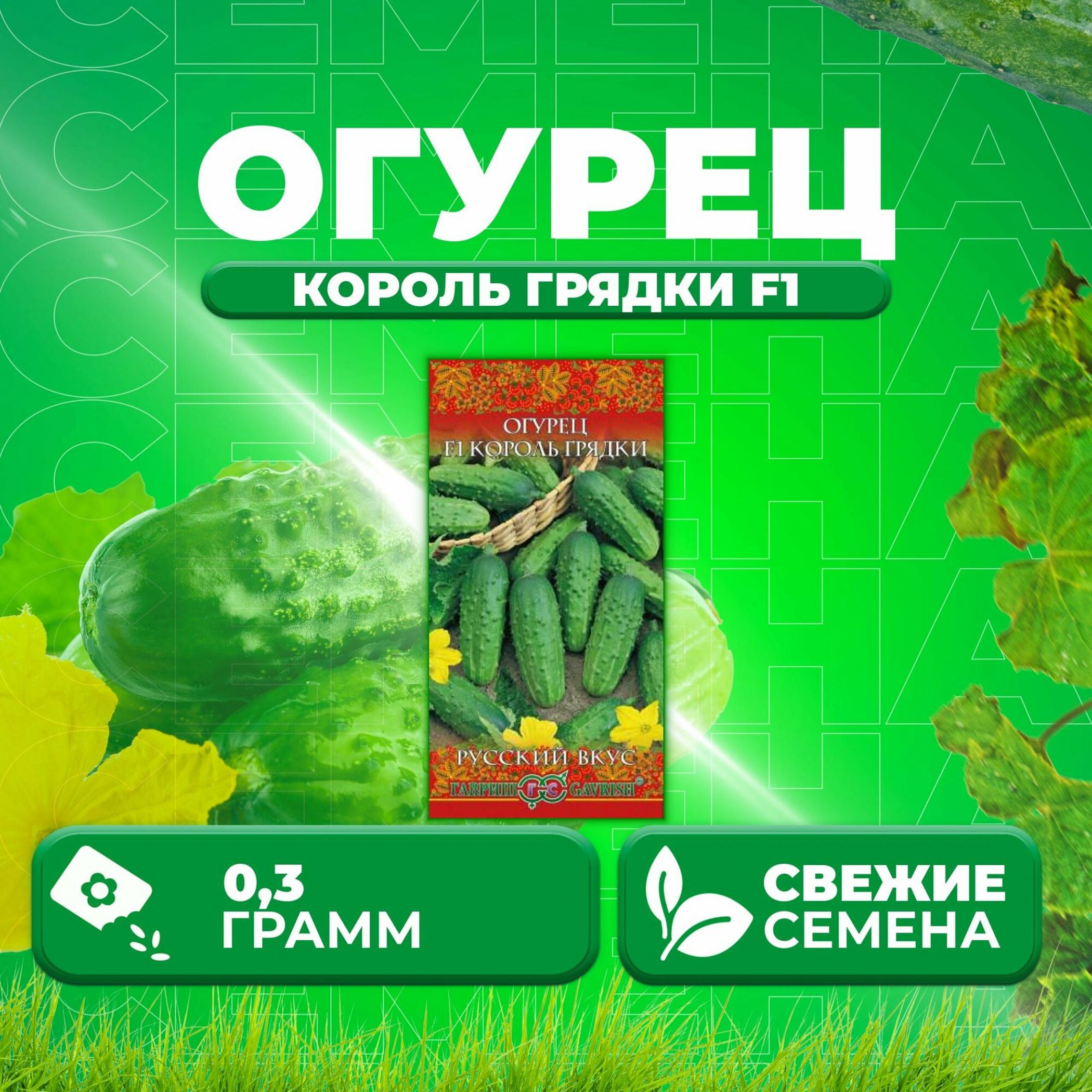 Огурец Король грядки 2