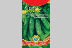 Огурец Королевские пальчики