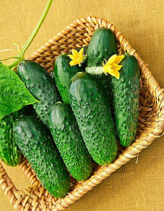 Огурец Курносик 2