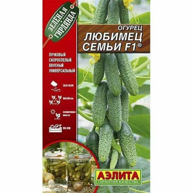Огурец Любимец семьи