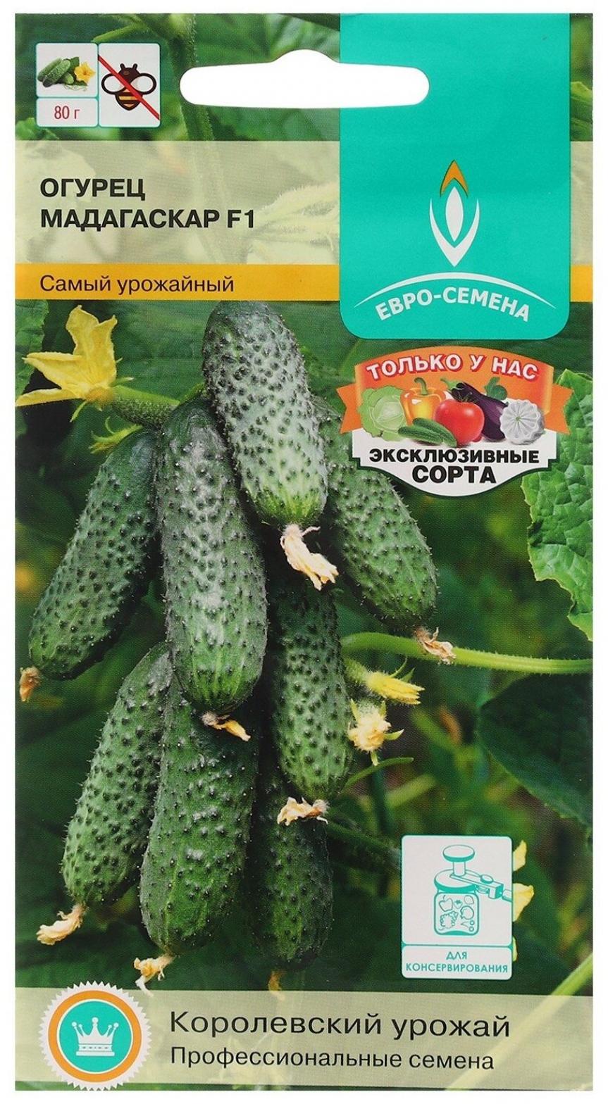 Огурец Мадагаскар