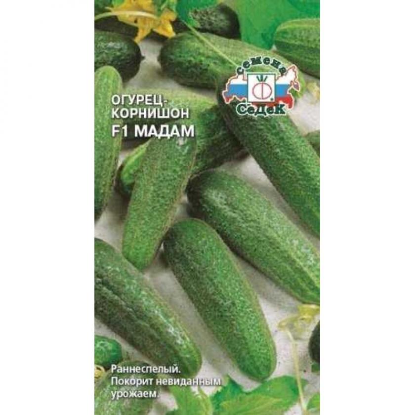 Огурец Мадам