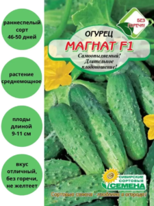 Огурец Магнат