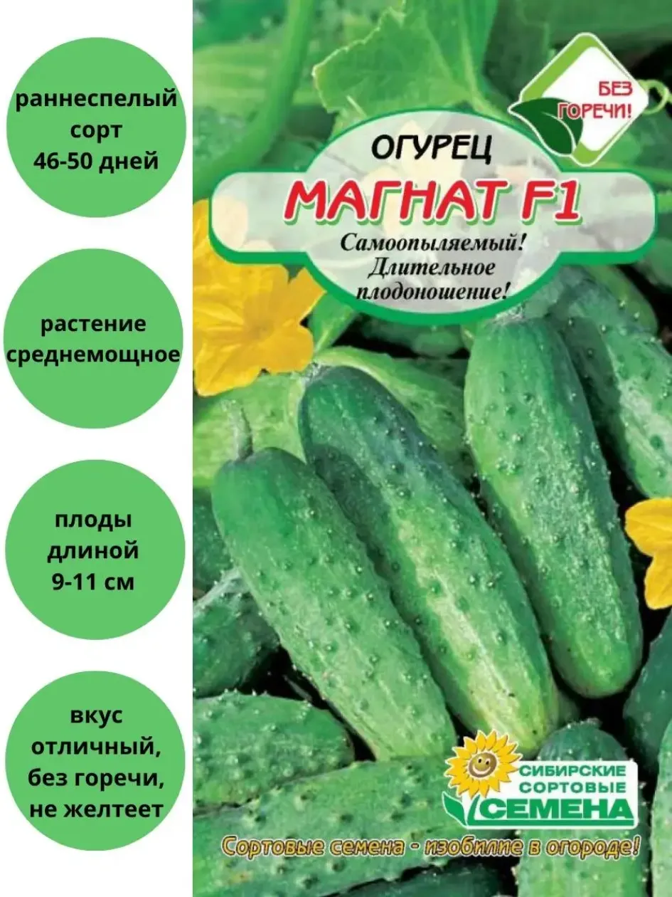 Огурец Магнат