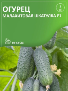Огурец Малахитовая шкатулка