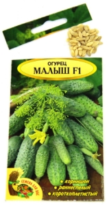 Огурец Малыш