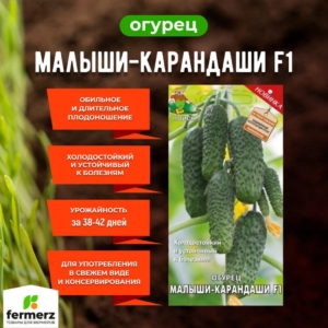 Огурец Малыши-карандаши