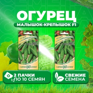 Огурец Малышок-крепышок