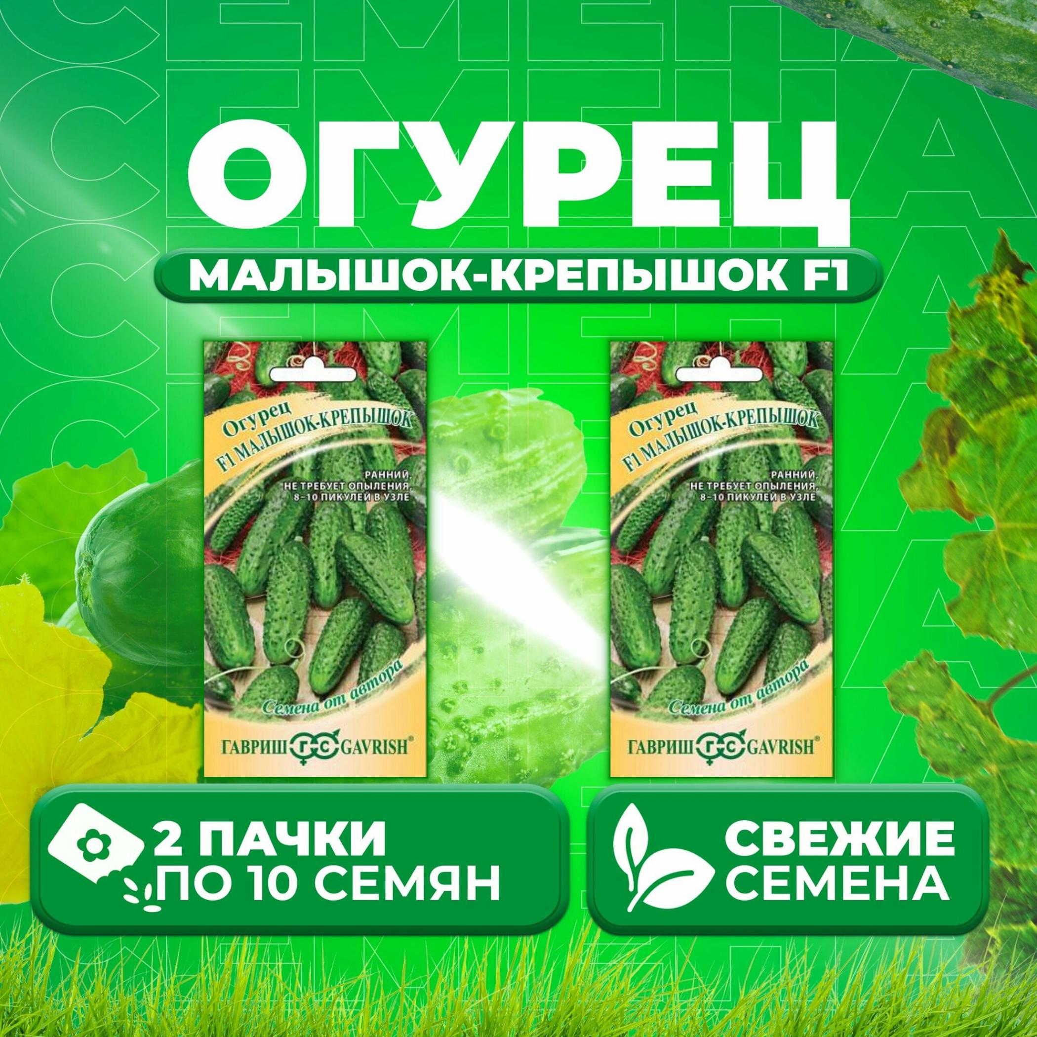 Огурец Малышок-крепышок