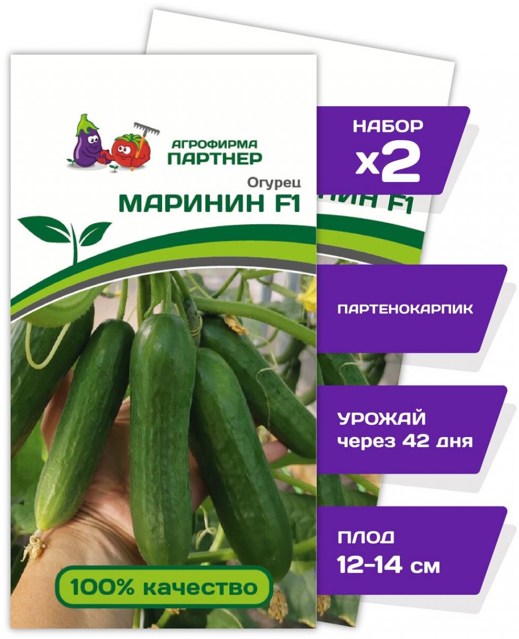 Огурец Маринин 2