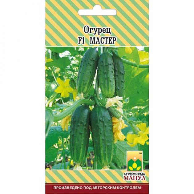 Огурец Мастер 2