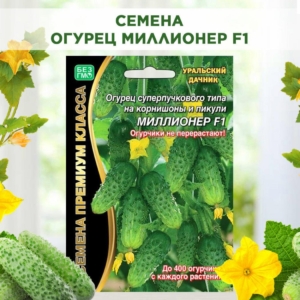 Огурец Миллионер
