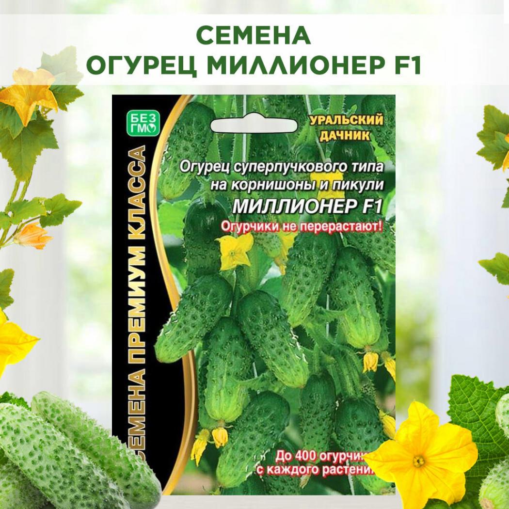 Огурец Миллионер