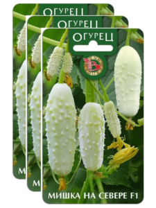 Огурец Мишка на Севере