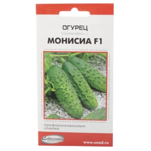 Огурец Монисия