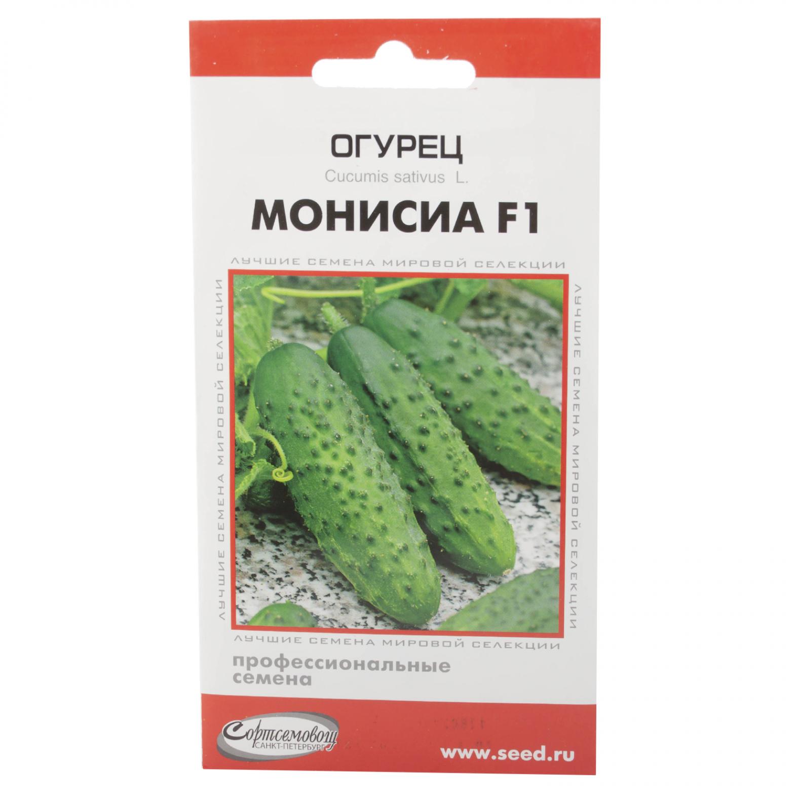 Огурец Монисия