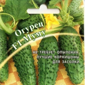 Огурец Муму