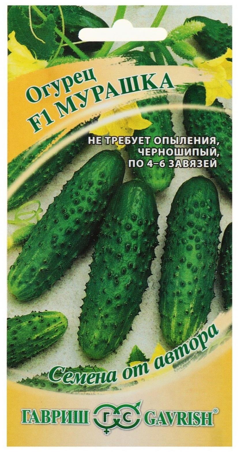 Огурец Мурашка