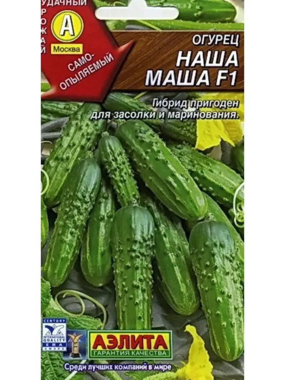 Огурец Наша Маша