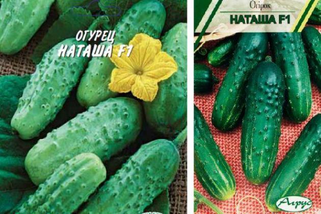 Огурец Наташа 2