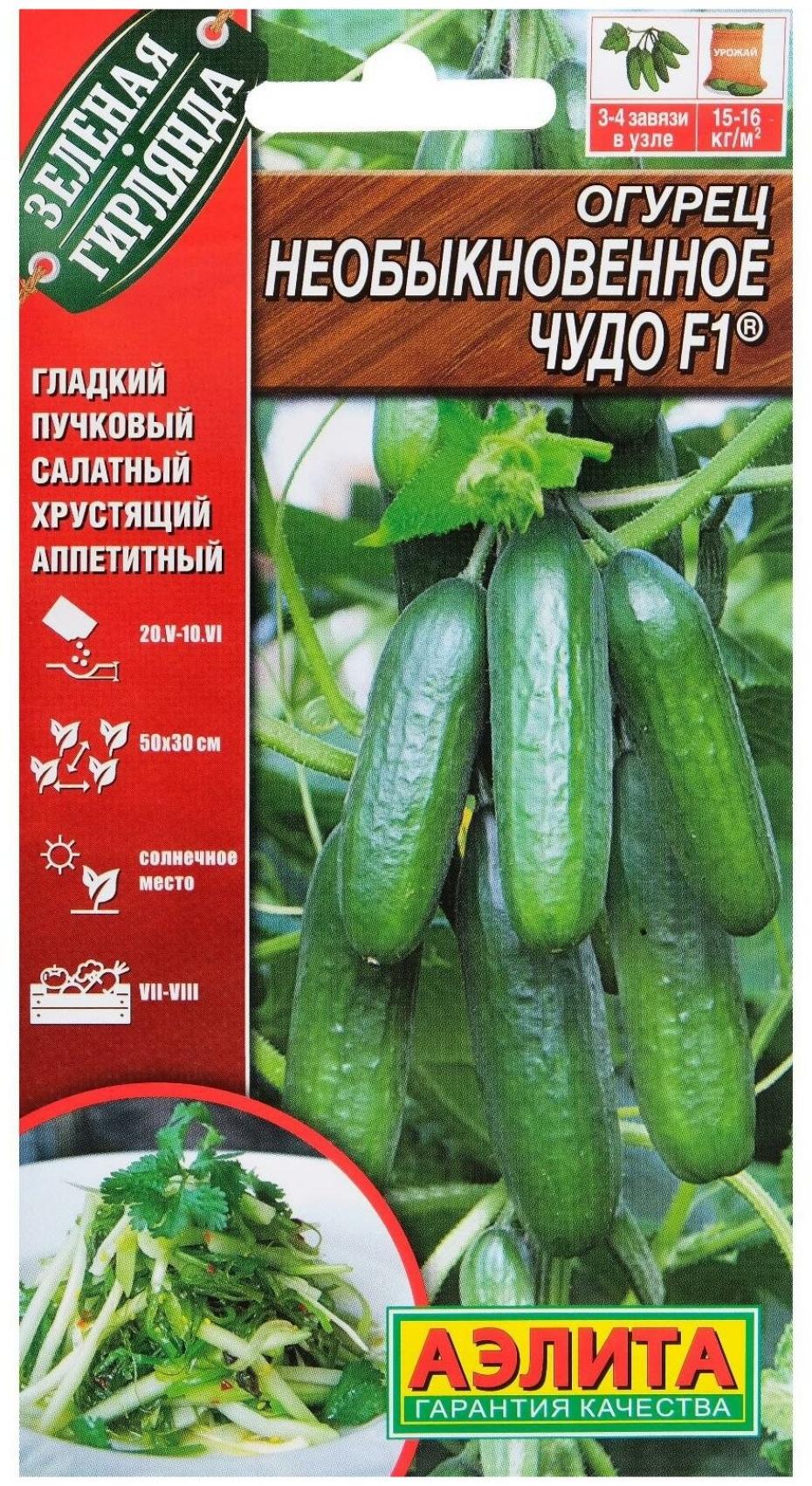 Огурец Необыкновенное чудо