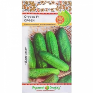 Огурец Орфей