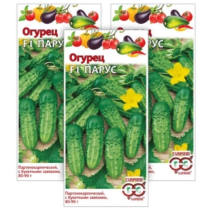 Огурец Парус